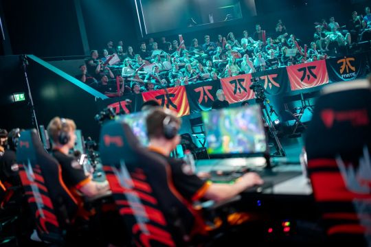 头迅猛的新 头迅猛的新